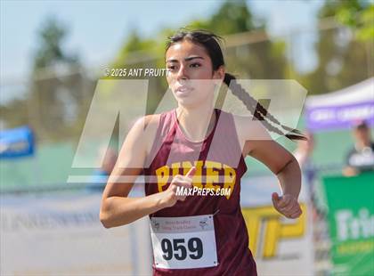 Thumbnail 1 in Bryan Bradley Viking Track Classic (800m) photogallery.