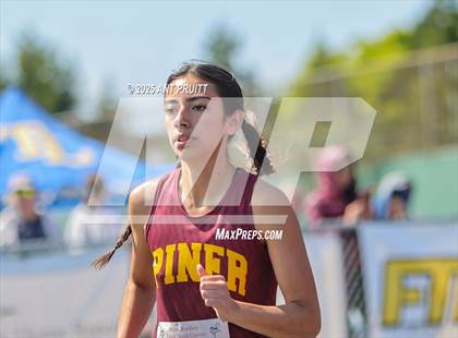 Thumbnail 3 in Bryan Bradley Viking Track Classic (800m) photogallery.
