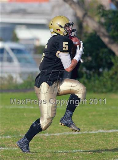 null - Photo 11