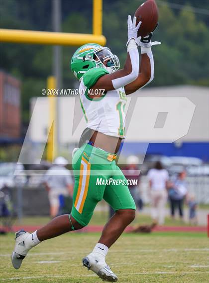 Thumbnail 3 in Rhea County @ Red Bank photogallery.
