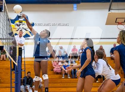 Thumbnail 3 in Chiles @ Sneads photogallery.