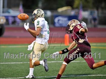 Thumbnail 3 in Concord vs. Whitney photogallery.