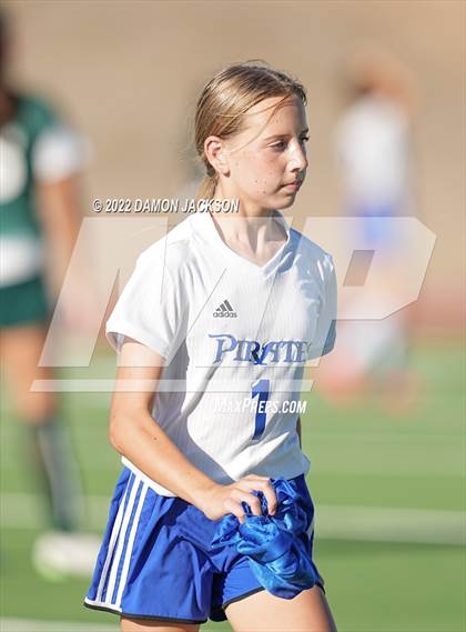 Thumbnail 2 in Moapa @ Virgin Valley photogallery.