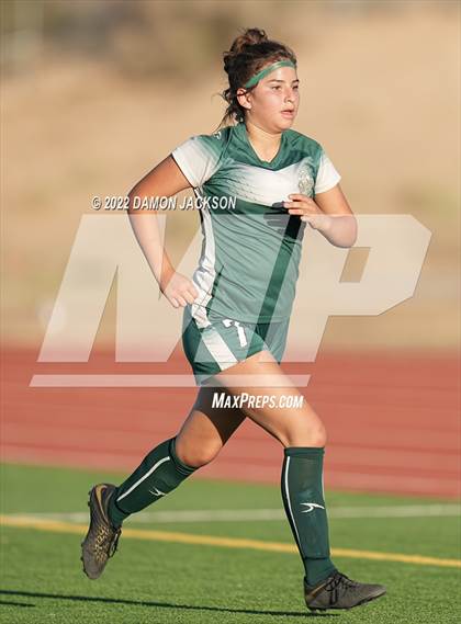 Thumbnail 1 in Moapa @ Virgin Valley photogallery.