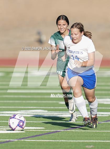 Thumbnail 3 in Moapa @ Virgin Valley photogallery.