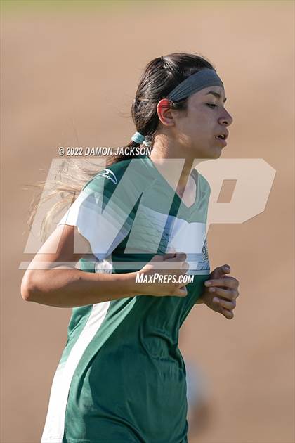 Thumbnail 1 in Moapa @ Virgin Valley photogallery.