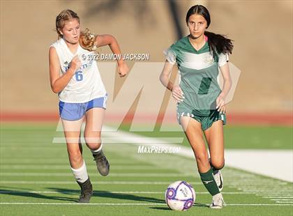 Thumbnail 3 in Moapa @ Virgin Valley photogallery.