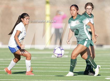 Thumbnail 3 in Moapa @ Virgin Valley photogallery.