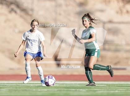 Thumbnail 3 in Moapa @ Virgin Valley photogallery.