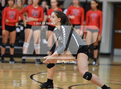 Thumbnail 3 in Bowie @ Vandegrift  photogallery.