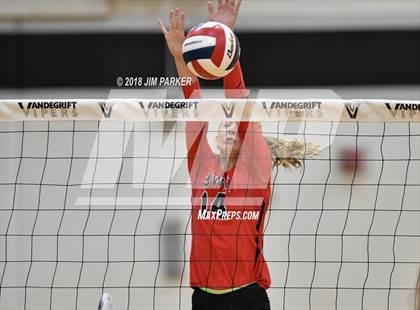Thumbnail 3 in Bowie @ Vandegrift  photogallery.