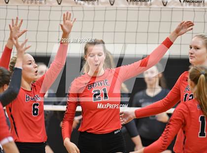 Thumbnail 2 in Bowie @ Vandegrift  photogallery.