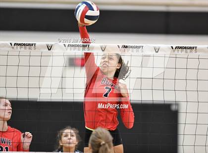 Thumbnail 2 in Bowie @ Vandegrift  photogallery.