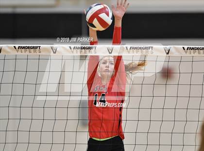 Thumbnail 1 in Bowie @ Vandegrift  photogallery.