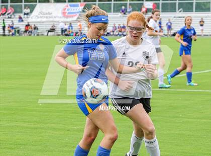 Thumbnail 3 in New Covenant Academy vs. St. Vincent (MSHSAA Class 1 Semifinal) photogallery.