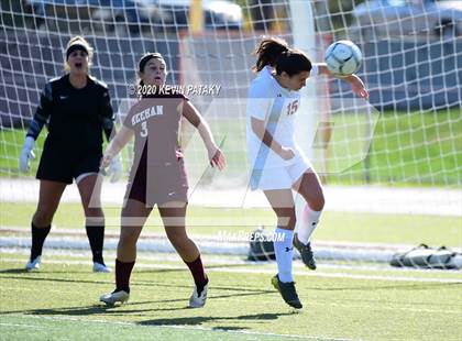 Thumbnail 1 in North Haven @ Sheehan photogallery.