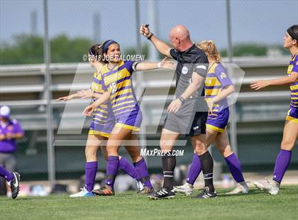 Thumbnail 1 in Johnson vs McAllen (Class 6A Region 4 Semifinal) photogallery.