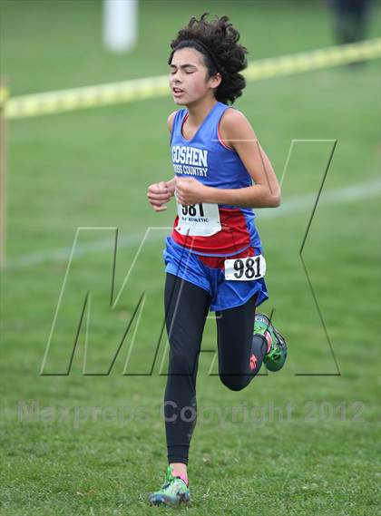 Thumbnail 1 in NYSPHSAA Cross Country Championships (Girls Class B) photogallery.