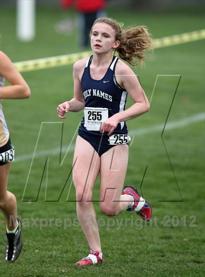 Thumbnail 2 in NYSPHSAA Cross Country Championships (Girls Class B) photogallery.