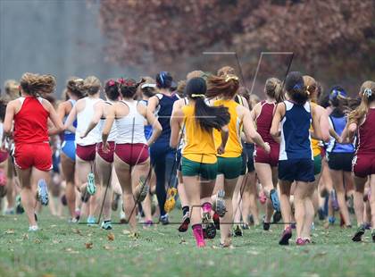 Thumbnail 1 in NYSPHSAA Cross Country Championships (Girls Class B) photogallery.