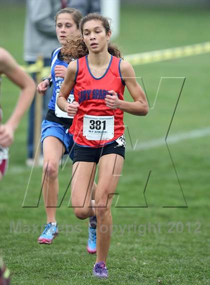 Thumbnail 2 in NYSPHSAA Cross Country Championships (Girls Class B) photogallery.