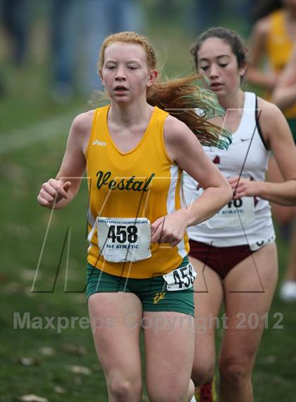 Thumbnail 2 in NYSPHSAA Cross Country Championships (Girls Class B) photogallery.