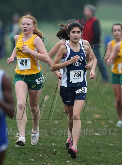 Thumbnail 3 in NYSPHSAA Cross Country Championships (Girls Class B) photogallery.