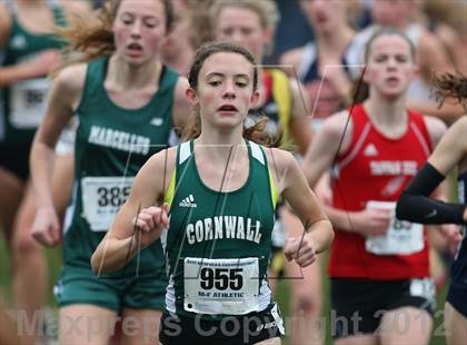 Thumbnail 1 in NYSPHSAA Cross Country Championships (Girls Class B) photogallery.