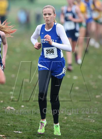 Thumbnail 3 in NYSPHSAA Cross Country Championships (Girls Class B) photogallery.