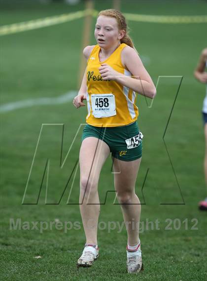 Thumbnail 2 in NYSPHSAA Cross Country Championships (Girls Class B) photogallery.