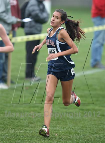 Thumbnail 2 in NYSPHSAA Cross Country Championships (Girls Class B) photogallery.