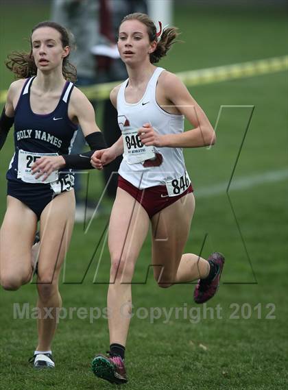 Thumbnail 1 in NYSPHSAA Cross Country Championships (Girls Class B) photogallery.