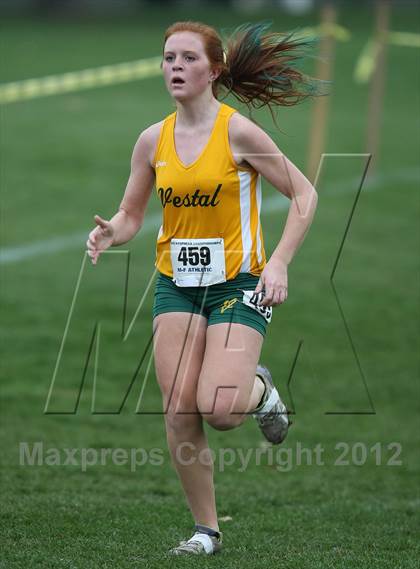 Thumbnail 1 in NYSPHSAA Cross Country Championships (Girls Class B) photogallery.