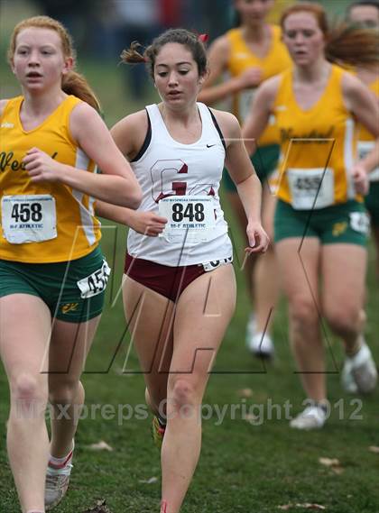 Thumbnail 1 in NYSPHSAA Cross Country Championships (Girls Class B) photogallery.