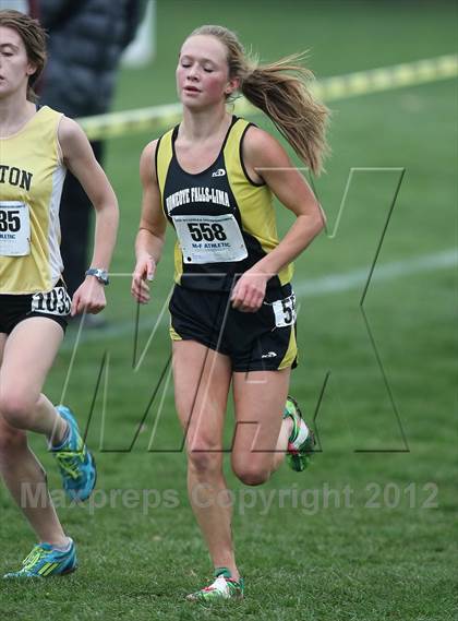 Thumbnail 2 in NYSPHSAA Cross Country Championships (Girls Class B) photogallery.