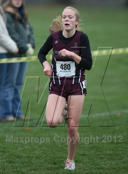 Thumbnail 1 in NYSPHSAA Cross Country Championships (Girls Class B) photogallery.
