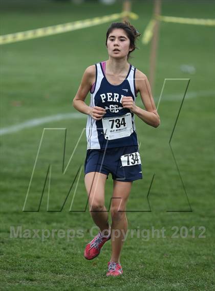 Thumbnail 1 in NYSPHSAA Cross Country Championships (Girls Class B) photogallery.