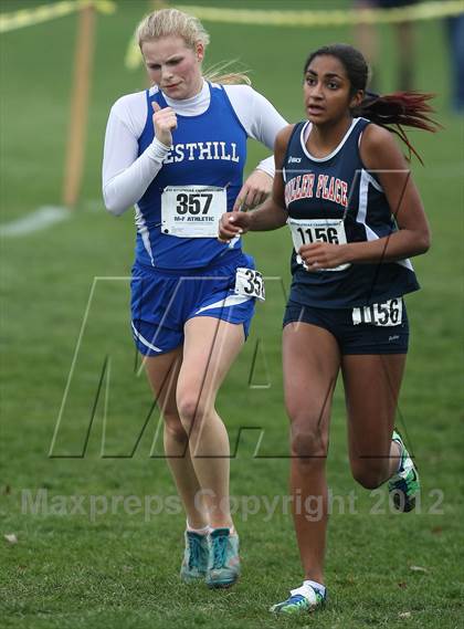 Thumbnail 2 in NYSPHSAA Cross Country Championships (Girls Class B) photogallery.
