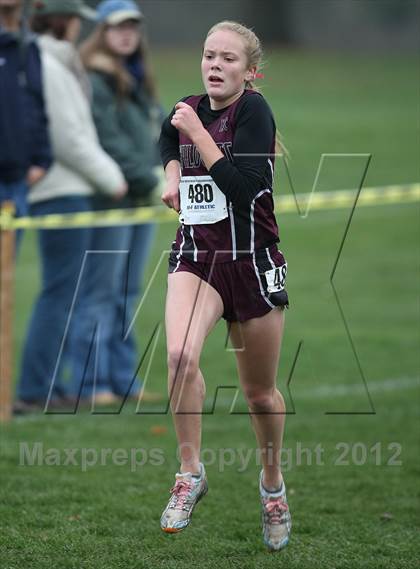 Thumbnail 3 in NYSPHSAA Cross Country Championships (Girls Class B) photogallery.