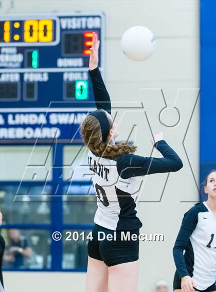 Thumbnail 1 in Clearwater Central Catholic vs. Plant (Berkeley JV Tournament) photogallery.