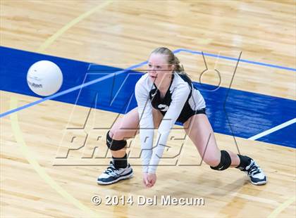 Thumbnail 3 in Clearwater Central Catholic vs. Plant (Berkeley JV Tournament) photogallery.