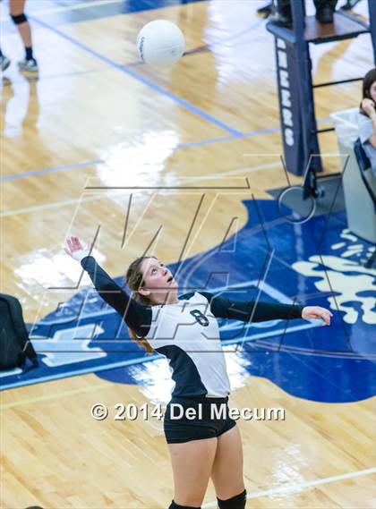 Thumbnail 2 in Clearwater Central Catholic vs. Plant (Berkeley JV Tournament) photogallery.