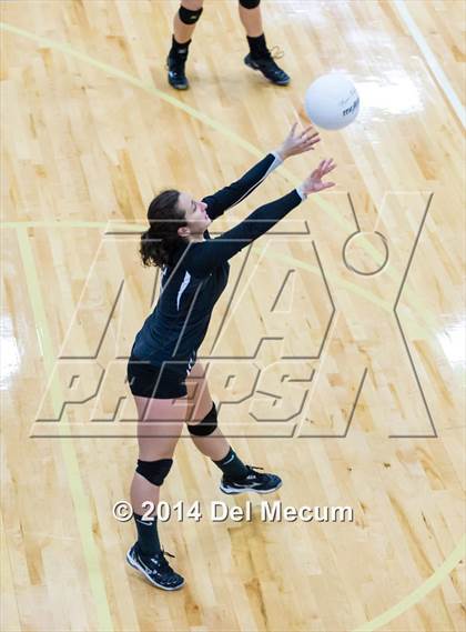 Thumbnail 3 in Clearwater Central Catholic vs. Plant (Berkeley JV Tournament) photogallery.