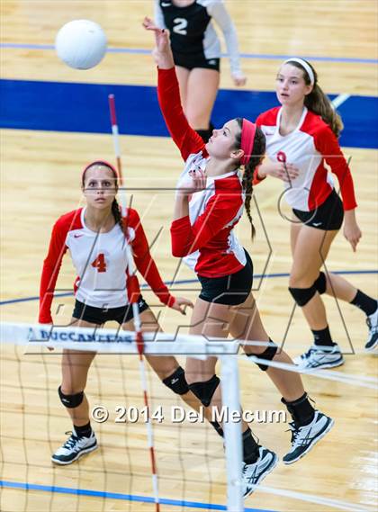 Thumbnail 1 in Clearwater Central Catholic vs. Plant (Berkeley JV Tournament) photogallery.