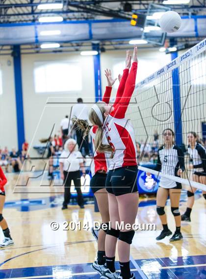 Thumbnail 2 in Clearwater Central Catholic vs. Plant (Berkeley JV Tournament) photogallery.