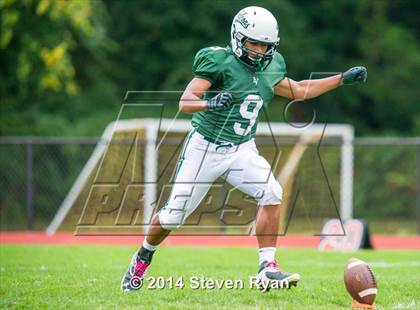 Thumbnail 2 in Mineola @ Locust Valley photogallery.