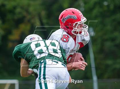 Thumbnail 2 in Mineola @ Locust Valley photogallery.