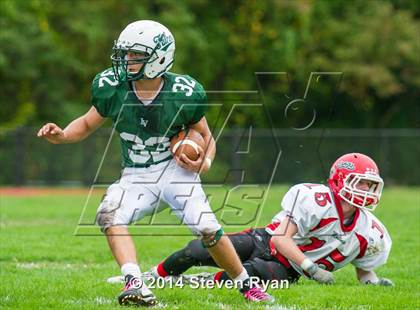 Thumbnail 3 in Mineola @ Locust Valley photogallery.