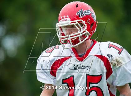 Thumbnail 1 in Mineola @ Locust Valley photogallery.