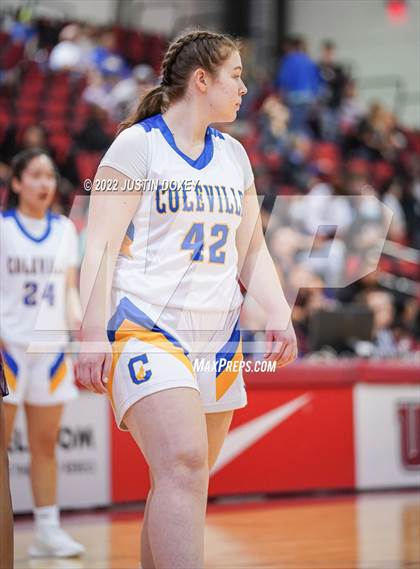 Thumbnail 1 in Coleville vs. Pyramid Lake (NIAA Class 1A State Girls Final) photogallery.